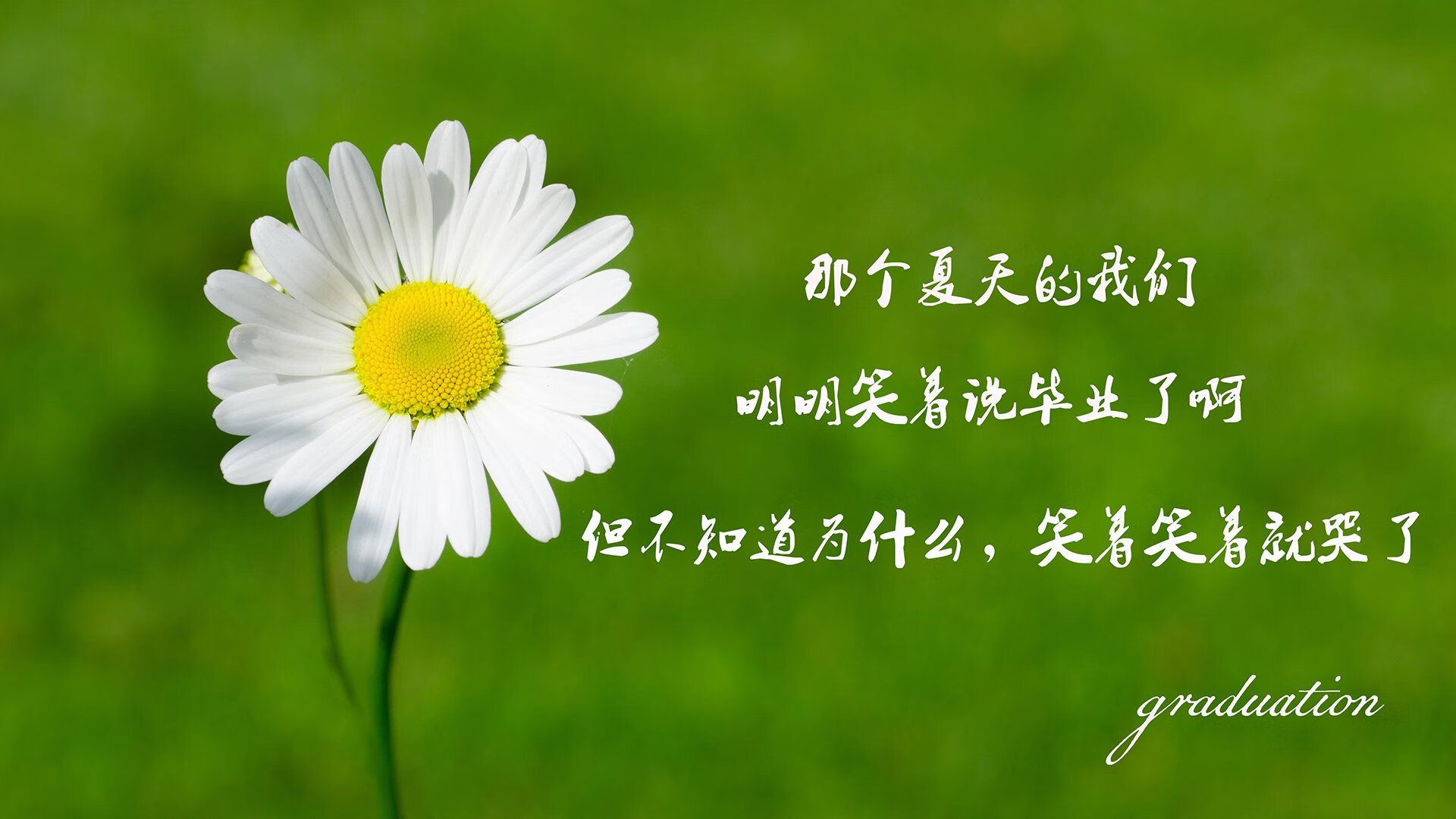 随机球场纪录：逐步打破的不可思议的篮球纪录，记录篮球