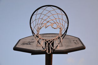 九游登录入口-NBA联盟与高校篮球合作开发机制研究，大学篮球联盟叫什么