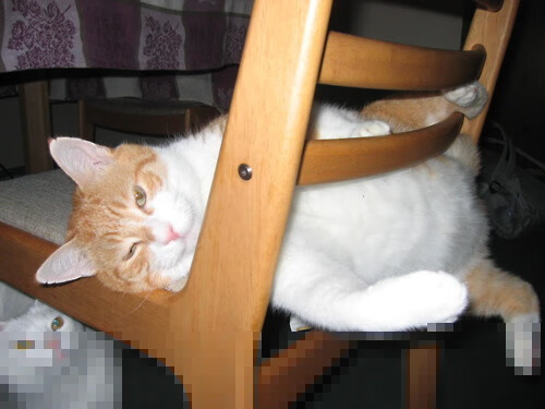 九游娱乐(jiuyou)官网-五大联赛是否形成射门前配合步数最佳模型，射门技术最好的前锋