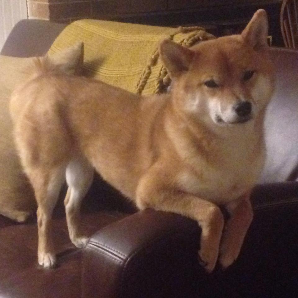 九游网-球队中场压制能力对数据结果的深层影响,足球全场压制