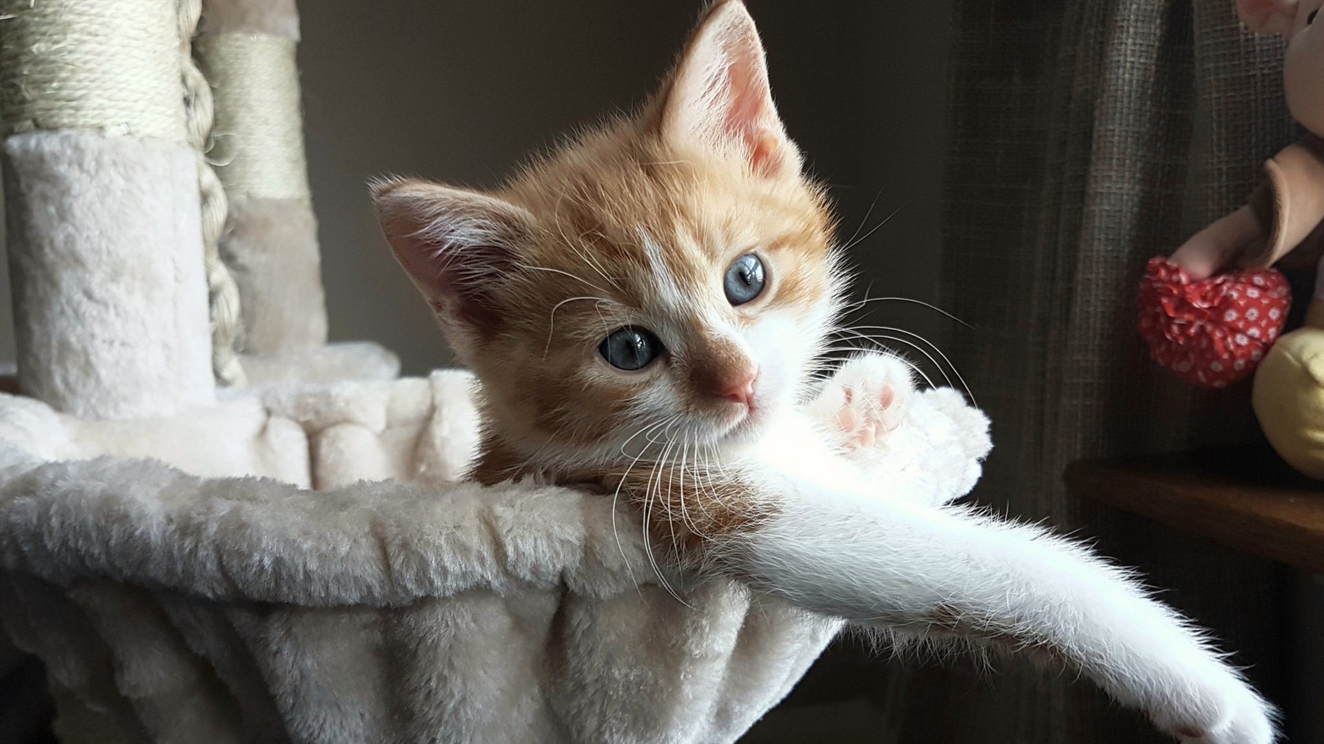 九游网页版官网-职业俱乐部资金链断裂背后的隐忧，职业俱乐部经营成功案例