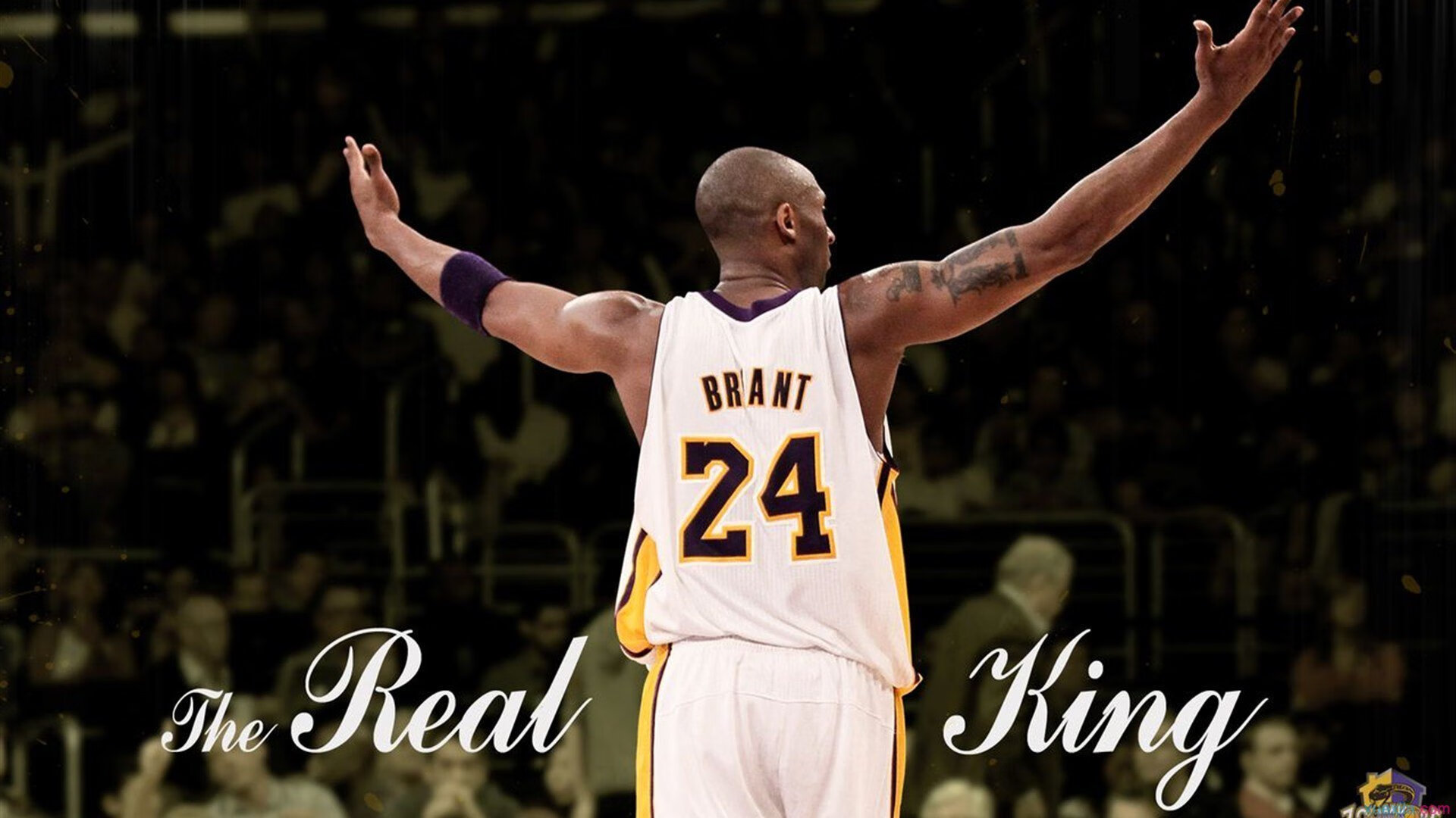 “明星战神再临!最炙手可热的投手与击球手全场对抗”,投球手是什么意思